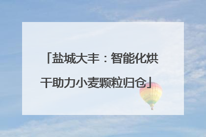 盐城大丰：智能化烘干助力小麦颗粒归仓