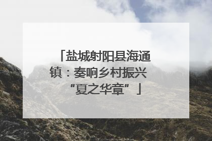 盐城射阳县海通镇：奏响乡村振兴“夏之华章”