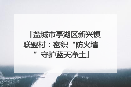 盐城市亭湖区新兴镇联盟村：密织“防火墙”守护蓝天净土