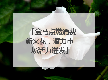 盒马点燃消费新火花，潜力市场活力迸发