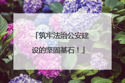 筑牢法治公安建设的坚固基石！