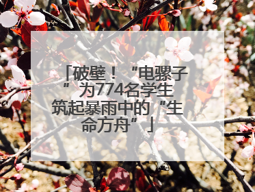 破壁！“电骡子”为774名学生筑起暴雨中的“生命方舟”