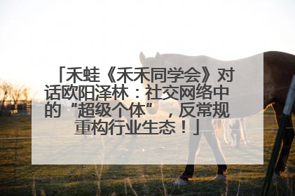 禾蛙《禾禾同学会》对话欧阳泽林：社交网络中的“超级个体”，反常规重构行业生态！