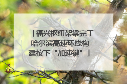 福兴枢纽架梁完工 哈尔滨高速环线构建按下“加速键”
