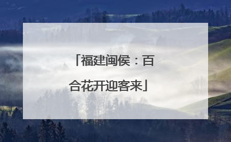 福建闽侯：百合花开迎客来