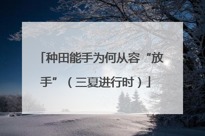 种田能手为何从容“放手”（三夏进行时）