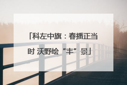 科左中旗：春播正当时 沃野绘“丰”景
