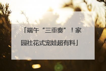 端午“三重奏”！家园社花式宠娃超有料