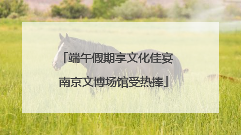 端午假期享文化佳宴 南京文博场馆受热捧