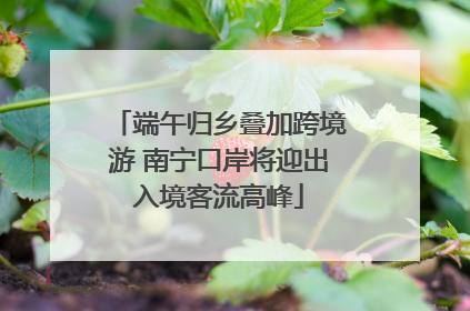 端午归乡叠加跨境游 南宁口岸将迎出入境客流高峰