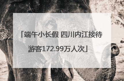 端午小长假 四川内江接待游客172.99万人次