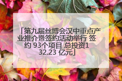 第九届丝博会汉中重点产业推介暨签约活动举行 签约 93个项目 总投资132.23 亿元