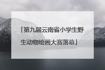 第九届云南省小学生野生动物绘画大赛落幕
