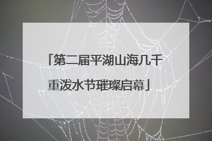 第二届平湖山海几千重泼水节璀璨启幕