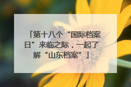 第十八个“国际档案日”来临之际，一起了解“山东档案”