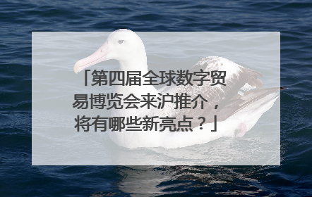 第四届全球数字贸易博览会来沪推介，将有哪些新亮点？