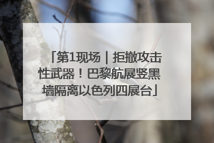 第1现场｜拒撤攻击性武器！巴黎航展竖黑墙隔离以色列四展台