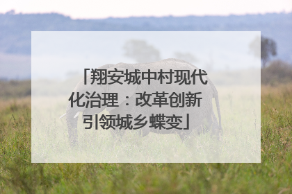翔安城中村现代化治理：改革创新引领城乡蝶变