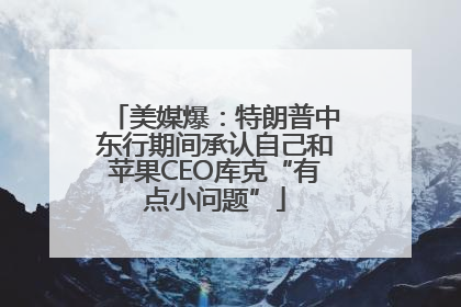 美媒爆：特朗普中东行期间承认自己和苹果CEO库克“有点小问题”