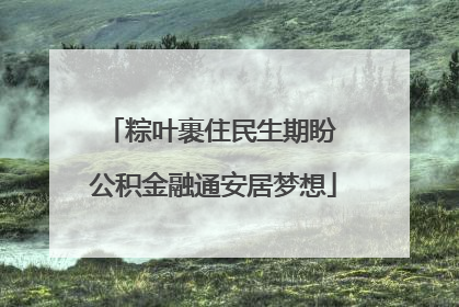 粽叶裹住民生期盼 公积金融通安居梦想