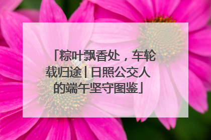 粽叶飘香处，车轮载归途│日照公交人的端午坚守图鉴