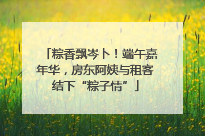 粽香飘岑卜！端午嘉年华，房东阿姨与租客结下“粽子情”