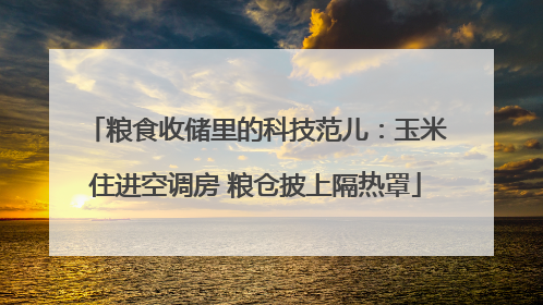 粮食收储里的科技范儿：玉米住进空调房 粮仓披上隔热罩
