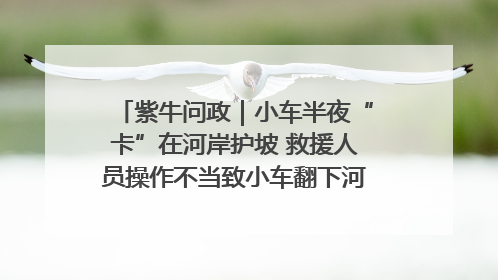 紫牛问政｜小车半夜“卡”在河岸护坡 救援人员操作不当致小车翻下河，然后直接走人了