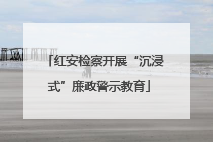 红安检察开展“沉浸式”廉政警示教育