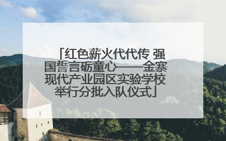 红色薪火代代传 强国誓言砺童心——金寨现代产业园区实验学校举行分批入队仪式