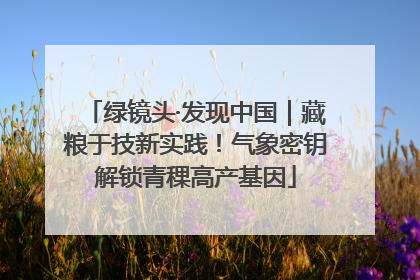 绿镜头·发现中国｜藏粮于技新实践！气象密钥解锁青稞高产基因