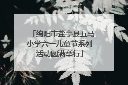 绵阳市盐亭县五马小学六一儿童节系列活动圆满举行