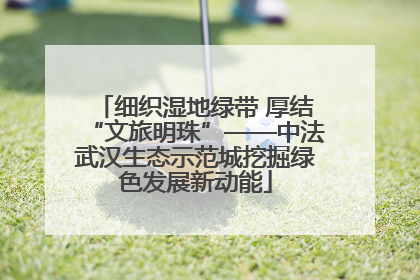细织湿地绿带 厚结“文旅明珠”——中法武汉生态示范城挖掘绿色发展新动能