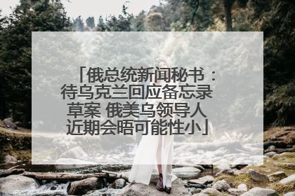 俄总统新闻秘书：待乌克兰回应备忘录草案 俄美乌领导人近期会晤可能性小