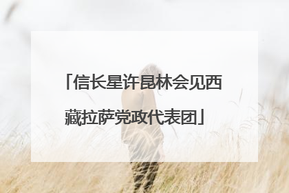 信长星许昆林会见西藏拉萨党政代表团