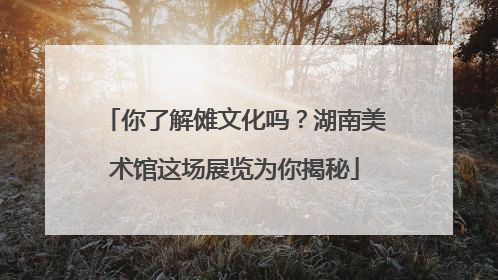 你了解傩文化吗？湖南美术馆这场展览为你揭秘