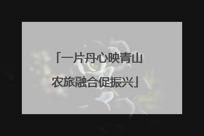 一片丹心映青山 农旅融合促振兴