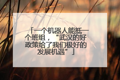 一个机器人能抵一个班组，“武汉的好政策给了我们极好的发展机遇”