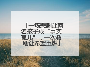 一场悲剧让两名孩子成“事实孤儿”，一次救助让希望重燃