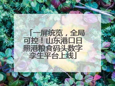一屏统览，全局可控！山东港口日照港粮食码头数字孪生平台上线