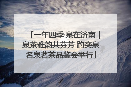 一年四季·泉在济南｜泉茶雅韵共芬芳 趵突泉名泉茗茶品鉴会举行