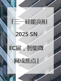 三一硅能亮相2025 SNEC展，智能微网成焦点