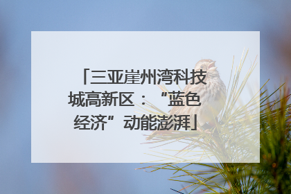 三亚崖州湾科技城高新区：“蓝色经济”动能澎湃