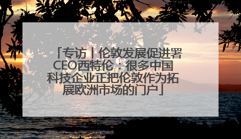 专访丨伦敦发展促进署CEO西特伦：很多中国科技企业正把伦敦作为拓展欧洲市场的门户