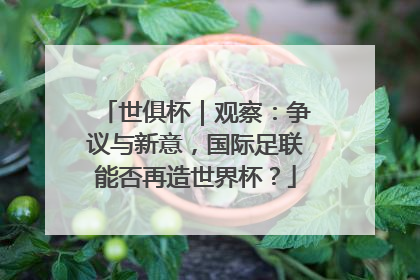 世俱杯｜观察：争议与新意，国际足联能否再造世界杯？