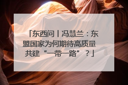 东西问丨冯慧兰：东盟国家为何期待高质量共建“一带一路”？
