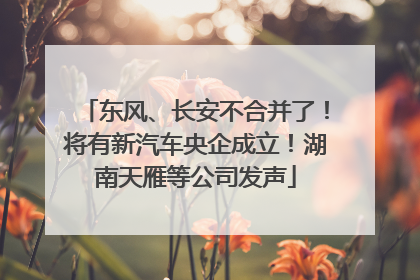 东风、长安不合并了！将有新汽车央企成立！湖南天雁等公司发声