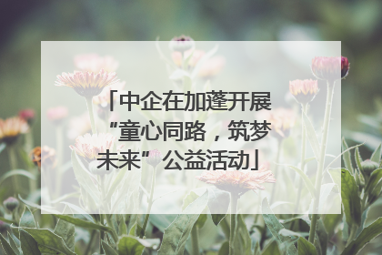 中企在加蓬开展“童心同路，筑梦未来”公益活动
