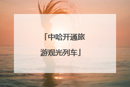中哈开通旅游观光列车