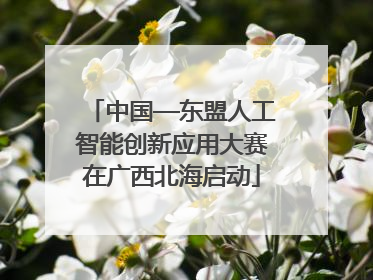 中国—东盟人工智能创新应用大赛在广西北海启动